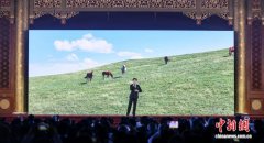 两岸中华文化峰会侧记：